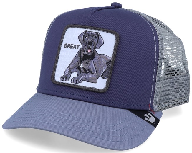 goorin bros pet sale