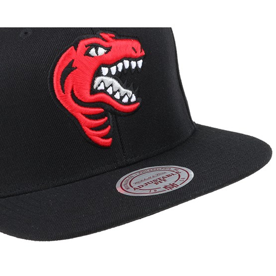 toronto raptors mitchell and ness hat