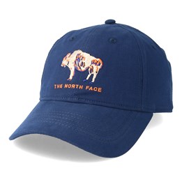 the north face canvas work ball cap