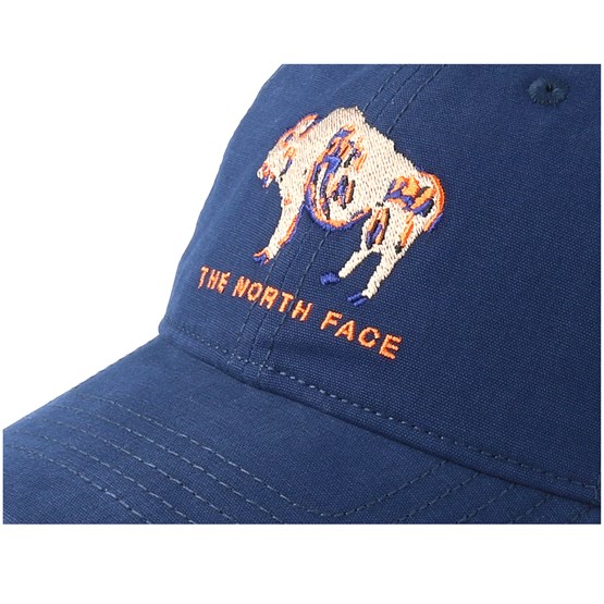 north face buffalo hat