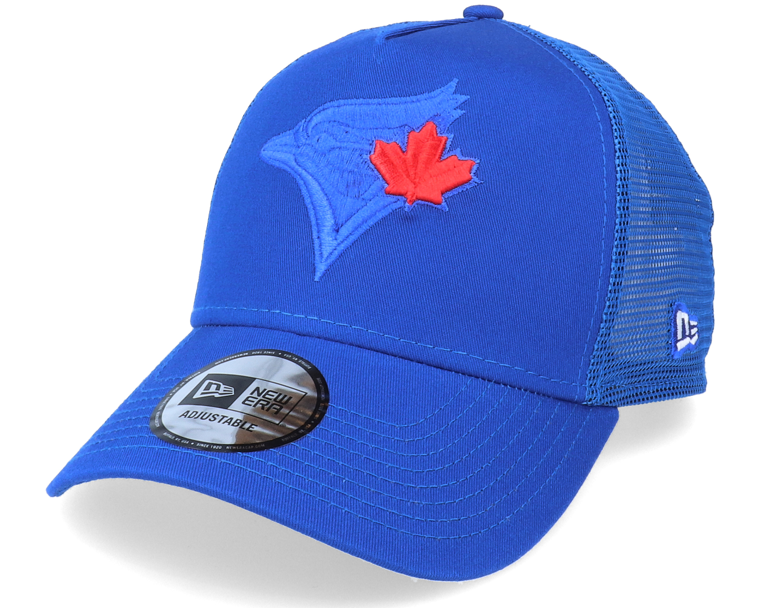 Toronto Blue Jays TEAM ELEMENTAL TRUCKER TORJAY BRY New Era caps