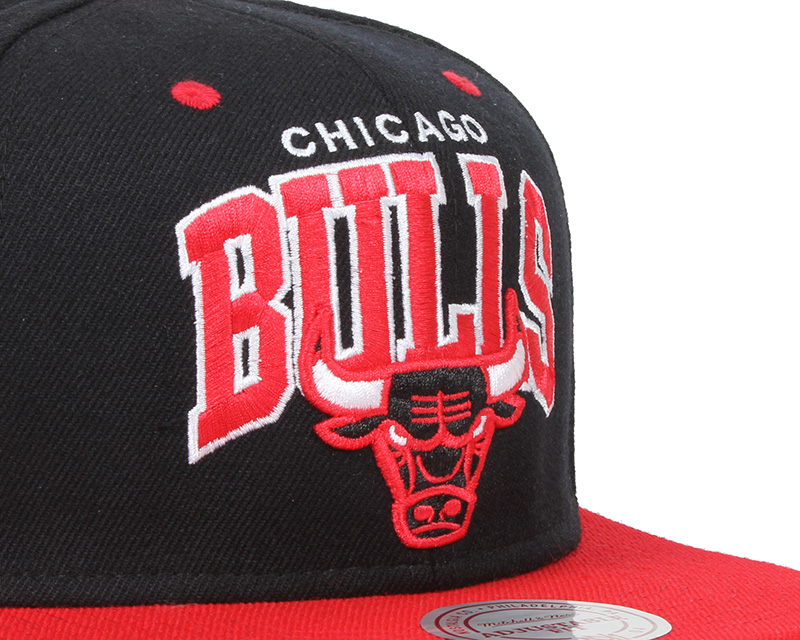 chicago bulls team store