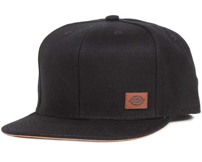 dickies minnesota cap