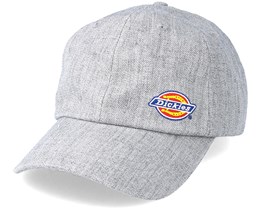 dickies dad hat