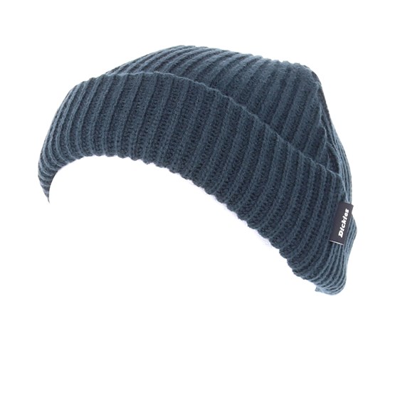 dickies claudville beanie