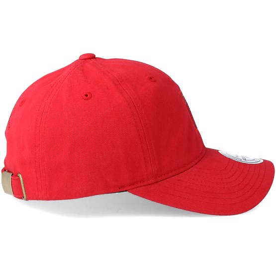 bulls dad hat