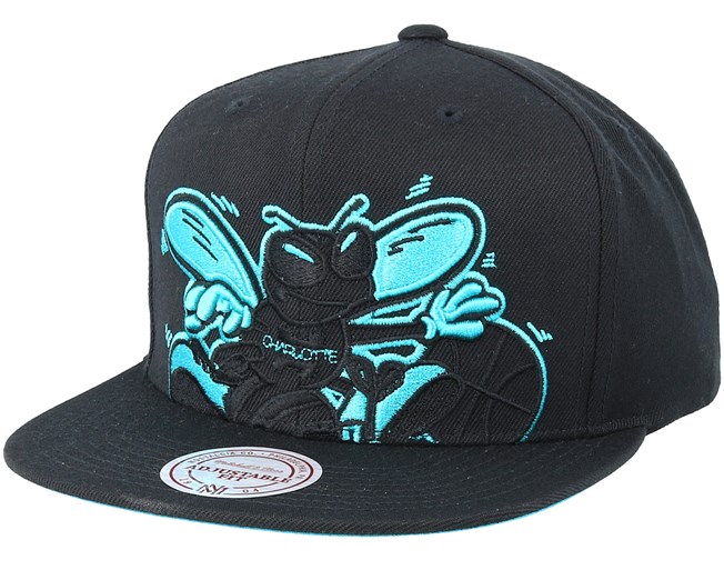 charlotte hornets mitchell and ness snapback