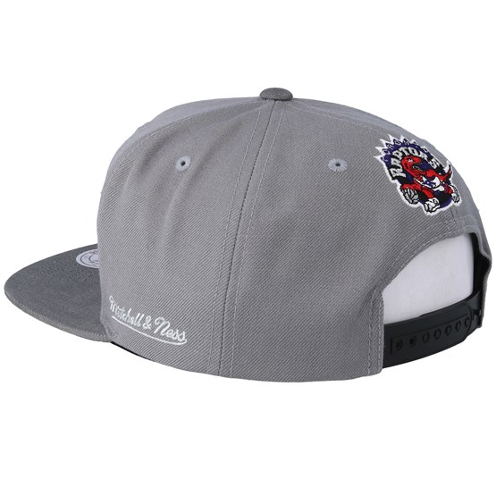 raptors hat snapback