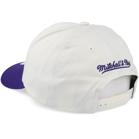 raptors white hat
