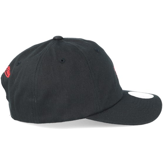 raptors dad cap