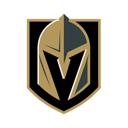 Vgk hockey team